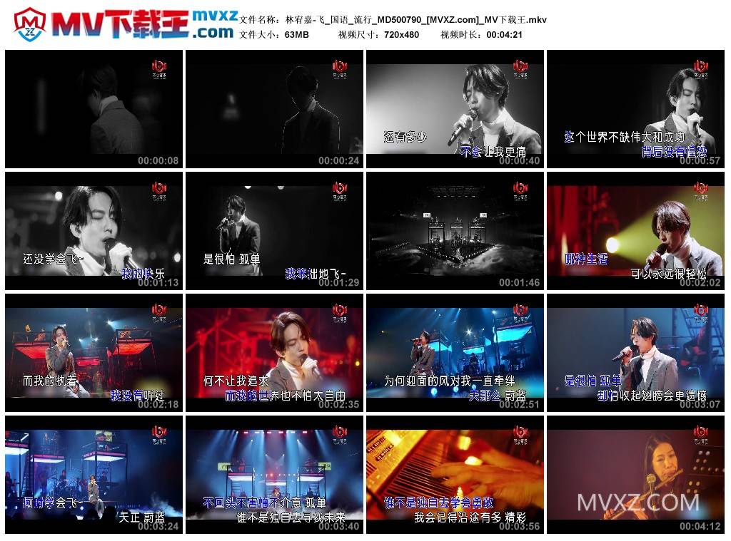 林宥嘉-飞_国语_流行_MD500790